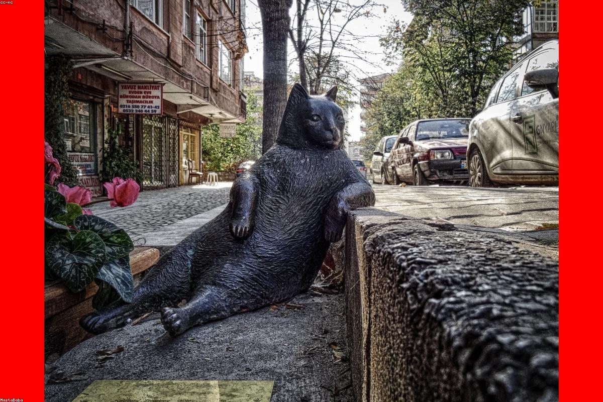 Fragile Removals trucks parked in a regional service yard