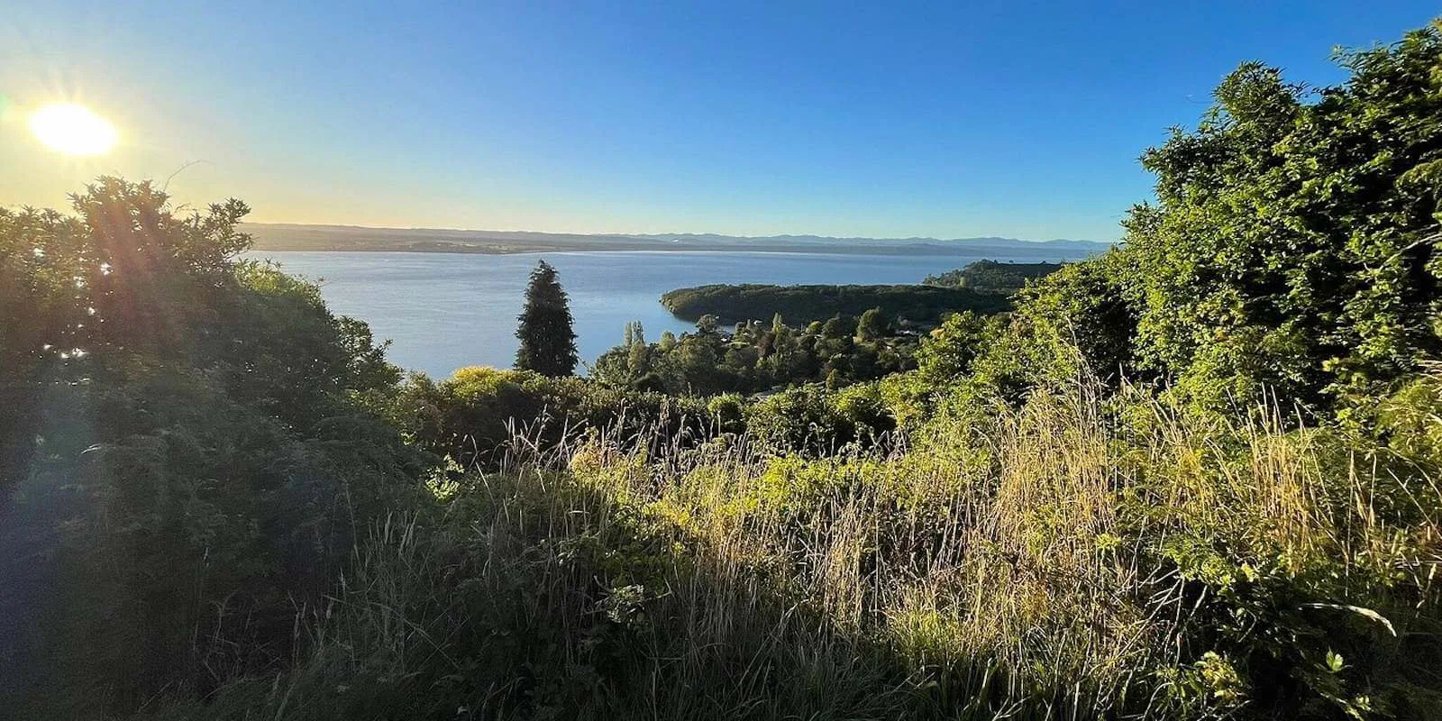 taupo-movers